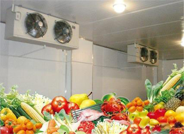 果蔬冷庫,果蔬冷庫廠家,果蔬冷庫建造,果蔬冷庫設計,果蔬冷庫價格表
