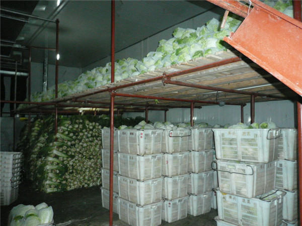 果蔬冷庫,果蔬冷庫廠家,果蔬冷庫建造,果蔬冷庫設計,果蔬冷庫價格表